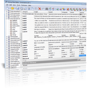 Şekil 4. RADPHP XE İçin Çeviri Düzenleyicisi